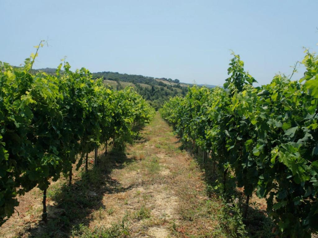 Tenuta Ponziani Wine Resort&Spa