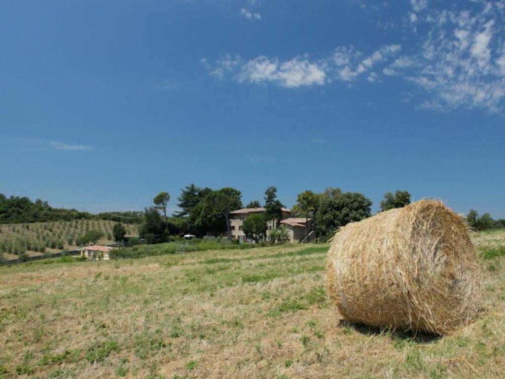 Alojamento de Turismo Rural Tenuta Ponziani Wine Resort&Spa